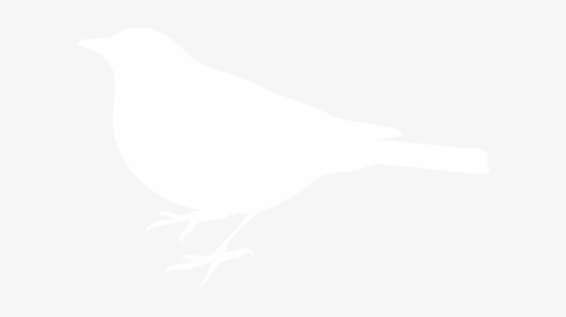 White Bird Black Background, transparent png #2863867