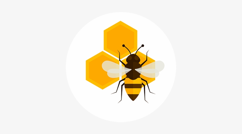 The Bees Do All The Hard Work Pollenating The Plants - Honeybee, transparent png #2866393