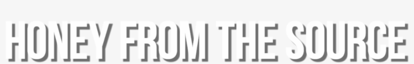 Thank You Honey Bees - Bangit Auto Sales Llc, transparent png #2867306