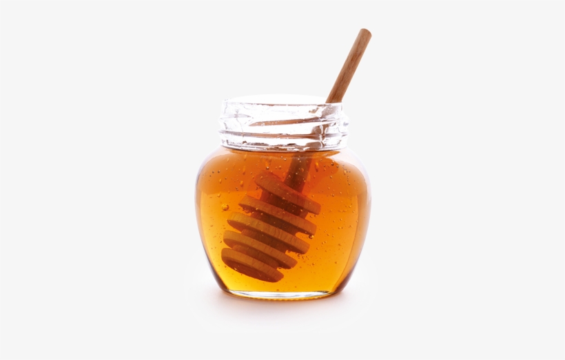 Honey Sticker - Medical Value Of Honey, transparent png #2867570