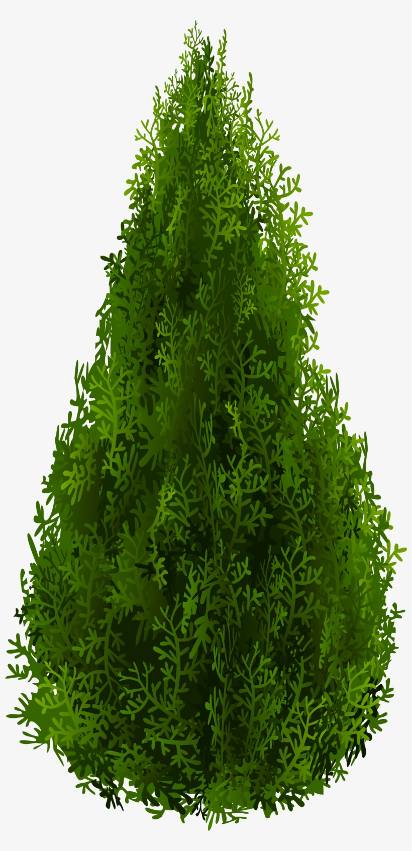 Tree, transparent png #2867628