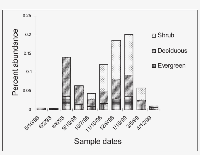 The Relative Contribution Of Evergreen Trees, Shrubs, - Shrub, transparent png #2867779