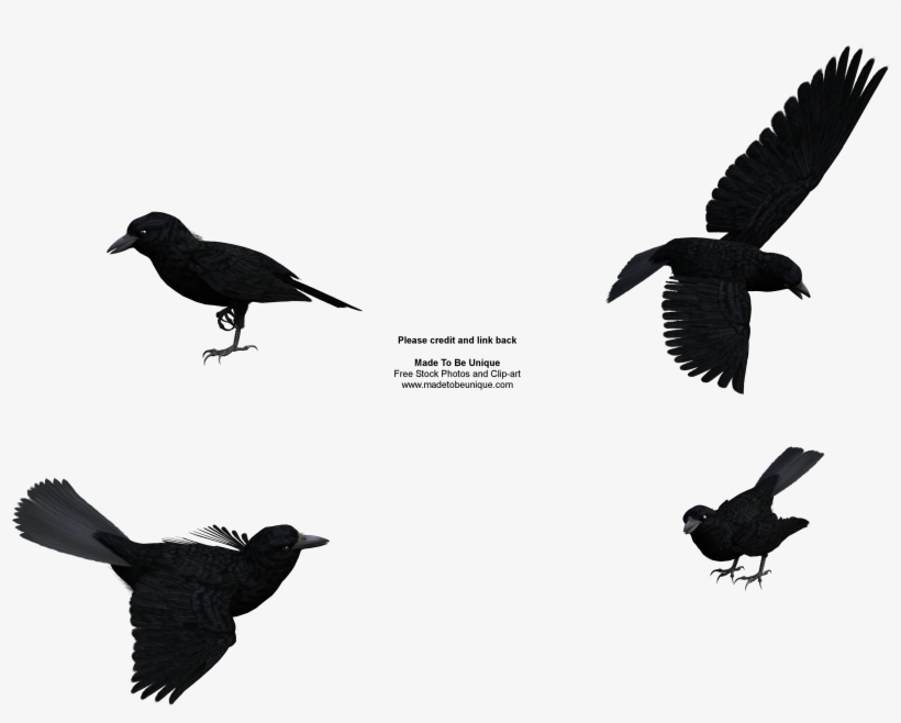 Free Stock Clipart - Clip Art, transparent png #2868039