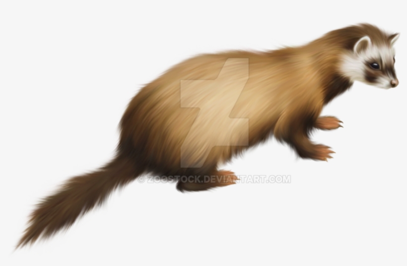 Png Files With Transparent Latest Raven Flying - Ferret Dad Greeting Card, transparent png #2868313