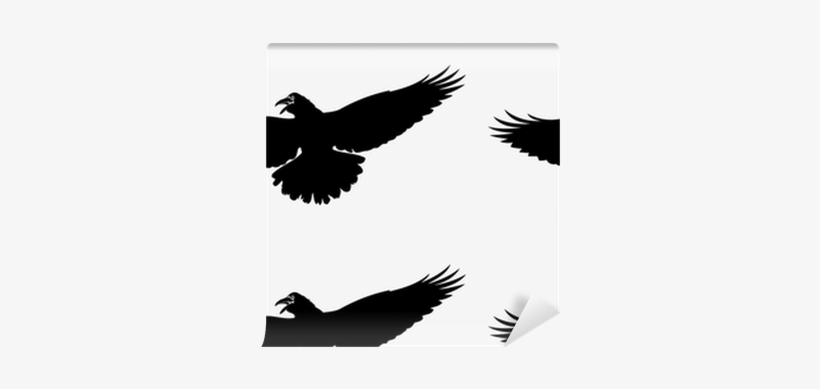 Raven Cartoon Flying, transparent png #2868402
