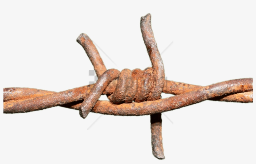 Barbed Wire Transparent Png, transparent png #2868969