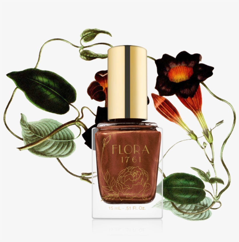 4flora 1761 Nail Lacquer In Chocolate Cosmos, $16 - Antique Print Of Echites Flora Fauna Flower Colour, transparent png #2869868