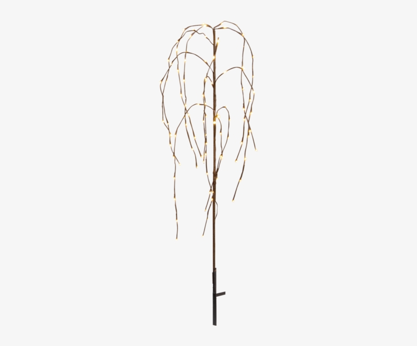 Decorative Tree Weeping Willow - Dekorationsträd Led Weeping Willow, 110cm - Star Trading, transparent png #2870039