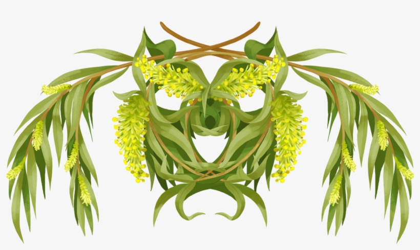 Weeping Willow // Recovery, Flexibility, Hope - Perennial Plant, transparent png #2870221