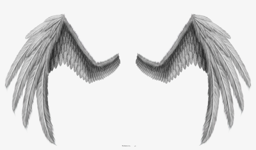 Angel Wings Side Profile Set Of 4 Gold Dresden Wings - Wings For Photoshop Png, transparent png #2870870