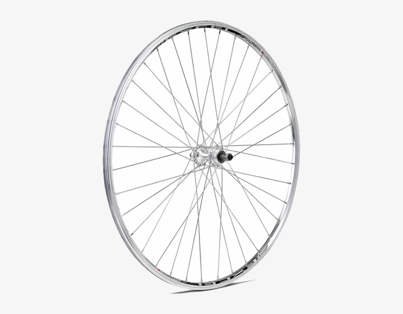 Gurpil Rueda Trasera Excel - Rueda De Bicicleta Png, transparent png #2872256