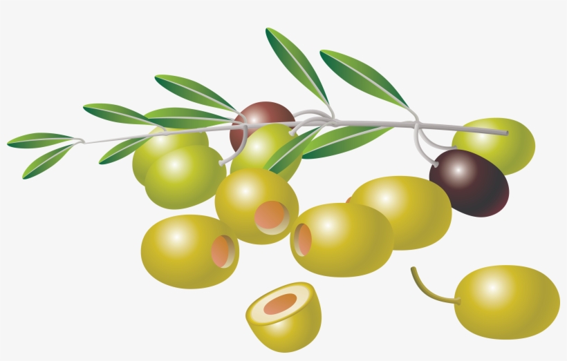 Free Vector Olive, transparent png #2872447