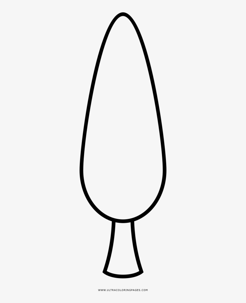 Cypress Tree Coloring Page - Line Art, transparent png #2872538