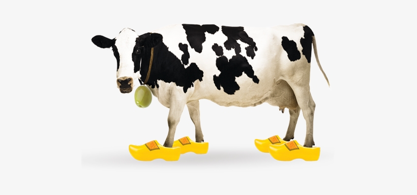 Spanish Queen Green Olives With Dutch Gouda & Cumin - Unearthed Olives With Gouda And Cumin, transparent png #2872539