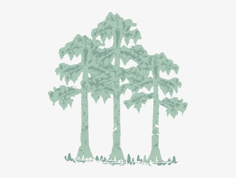 Renovations New Home Construction - Cypress Construction Inc, transparent png #2872592