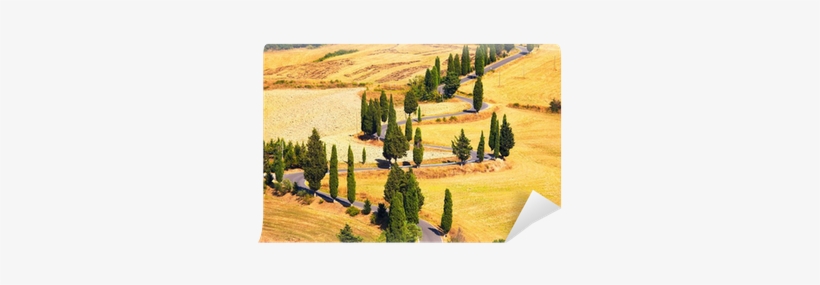 Cypress Tree Scenic Road In Monticchiello Near Siena, - Kalendarz Ścienny 2018 Drogi, transparent png #2872617