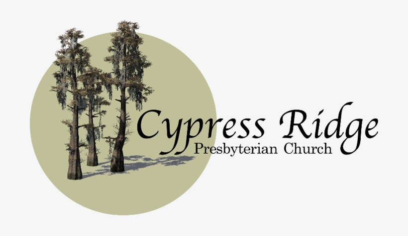6230 Cypress Gardens Blvd, Winter Haven, Fl - Lodgepole Pine, transparent png #2872735