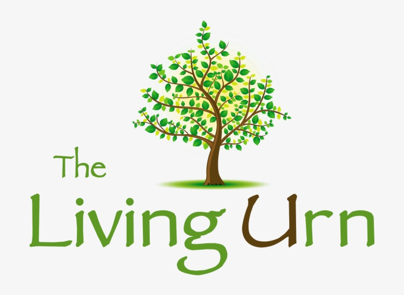 The Living Urn Tree Selection - Urn, transparent png #2872787