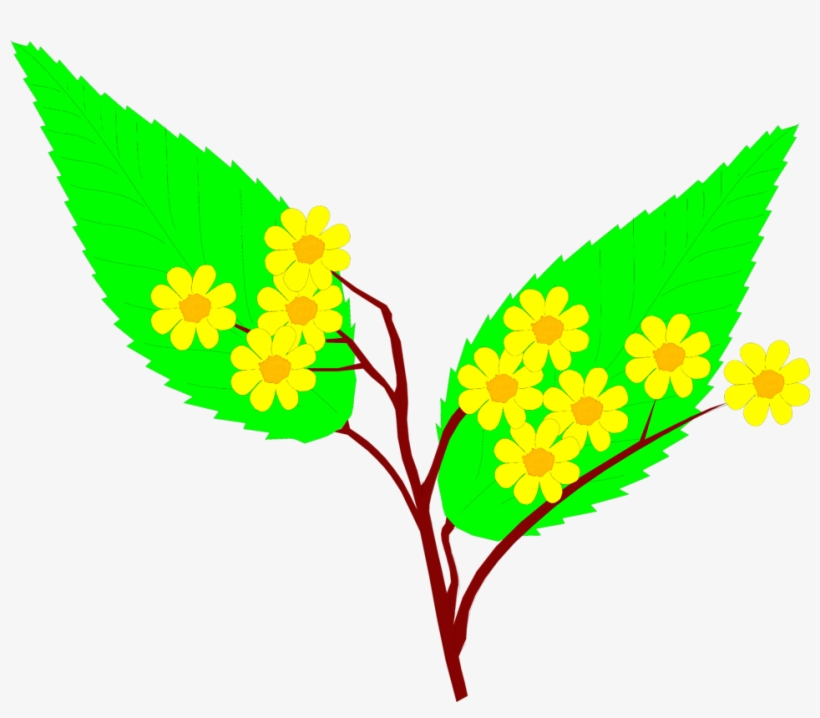 Free Stock Photos - Stock Photography, transparent png #2873056