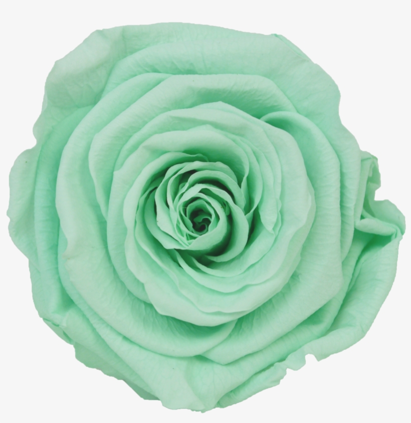 Princess Cut, transparent png #2873061