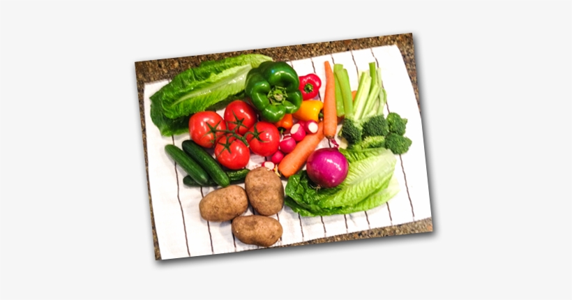It Is Not A 'fad Diet' Such As The Atkins Diet Or The - Dash Diet Png, transparent png #2873137