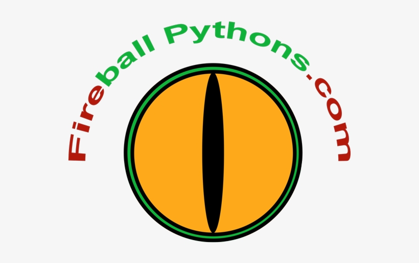 Fireball Pythons Logo - Circle - Free Transparent PNG Download - PNGkey