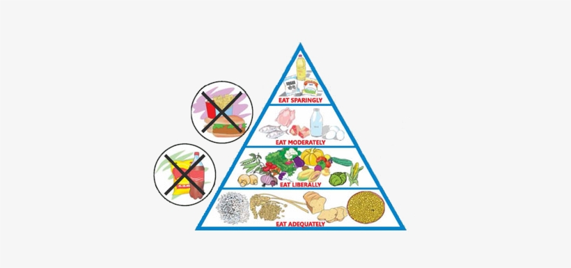 Adopt A Balanced Diet - Balanced Diet And Malnutrition, transparent png #2873683