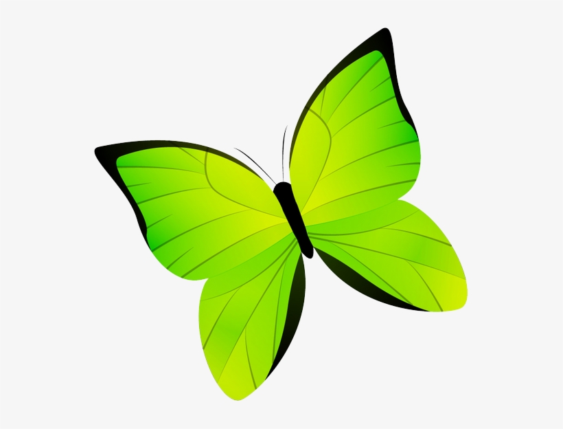 Image Is Not Available - Probisana Wasmiddel, transparent png #2873962