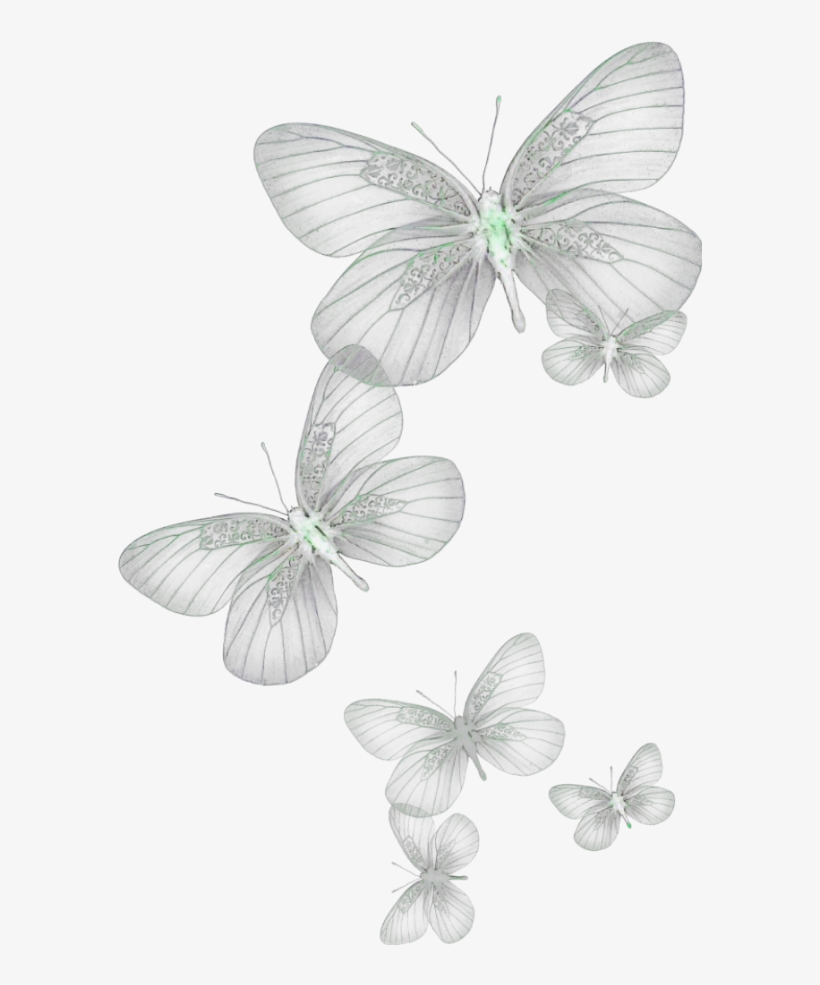 Ftestickers Butterflies Glow Green - Glow Butterfly Png, transparent png #2874014