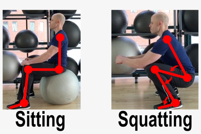 Squat Chain - Strength Training, transparent png #2874031