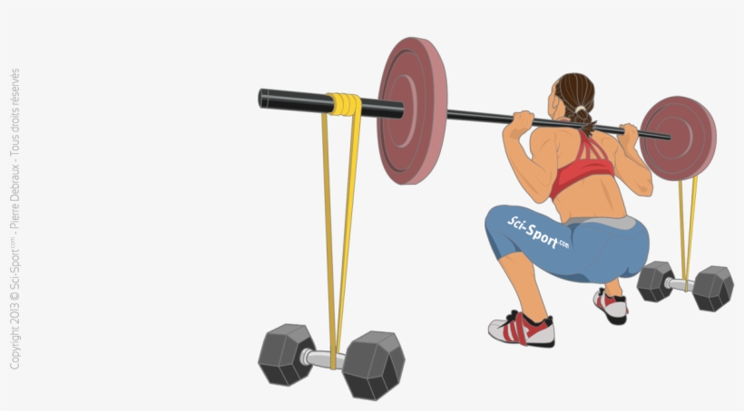 Squat With Elastic Bands - Squat, transparent png #2874207