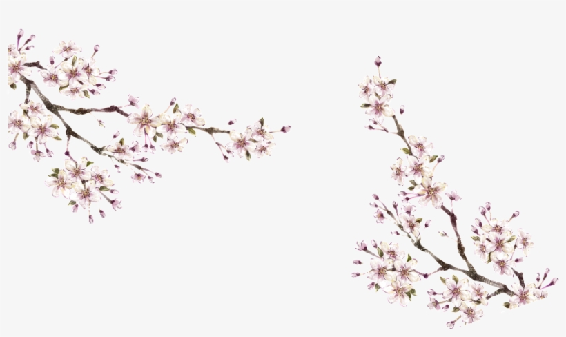 This Graphics Is Winter Plum Png About Winter, Plum, - Xiaopangzi Traditional Chinese Flower Trees Door Curtain, transparent png #2875297
