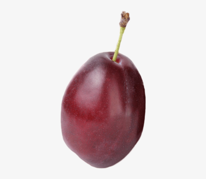 2 - Plum - Cherry, transparent png #2876227