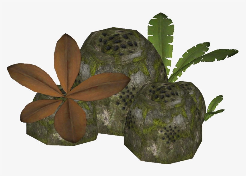 Littoral Music Rock - Illustration, transparent png #2876407