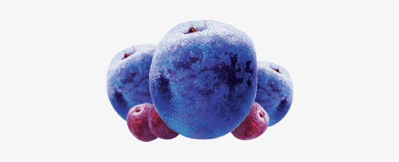 Seedless Fruit, transparent png #2876516