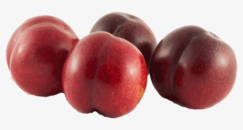 Plum - Plums Transparent, transparent png #2876541