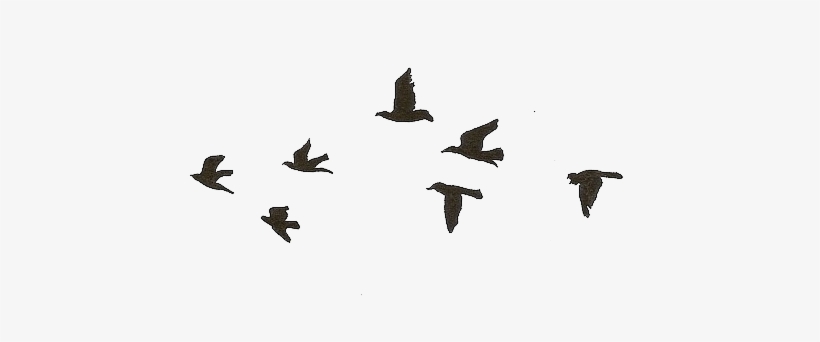 Flying Birds Gif Transparent, transparent png #2877062