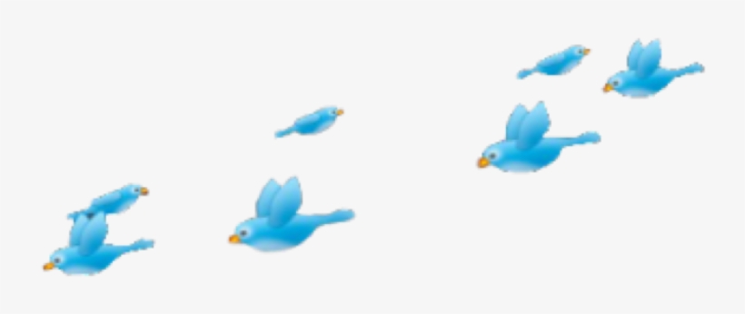 Png Pngs Pngtumblr Fly Pajaros Blue Tumblr Art Interest - Png Passarinhos, transparent png #2877119