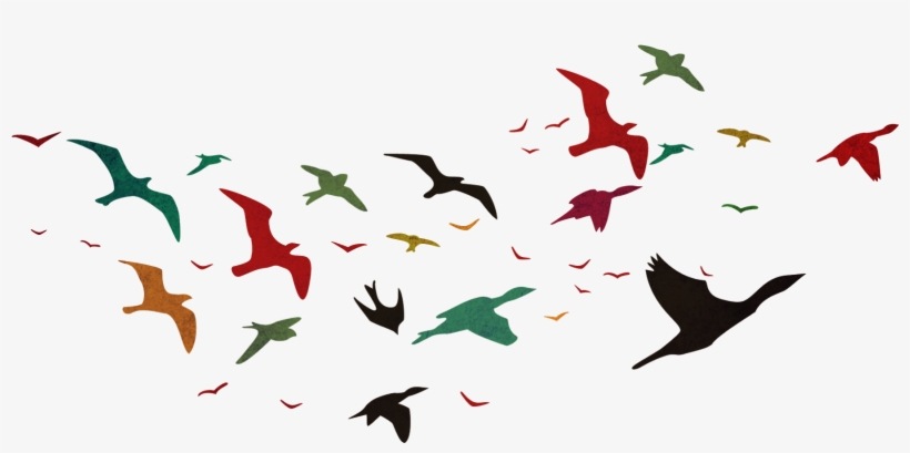 La - Bird Vector, transparent png #2877213