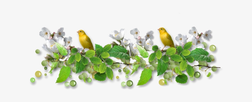 Pajaros Lineas - Clip Art, transparent png #2877221