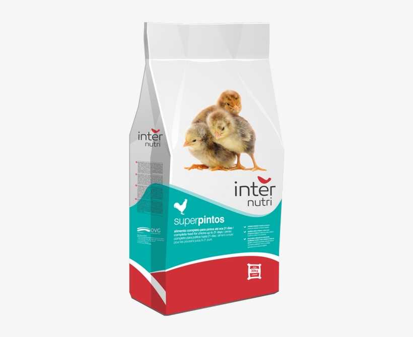 Internutri Seeds Pintos 3d - Pigeons And Doves, transparent png #2877333