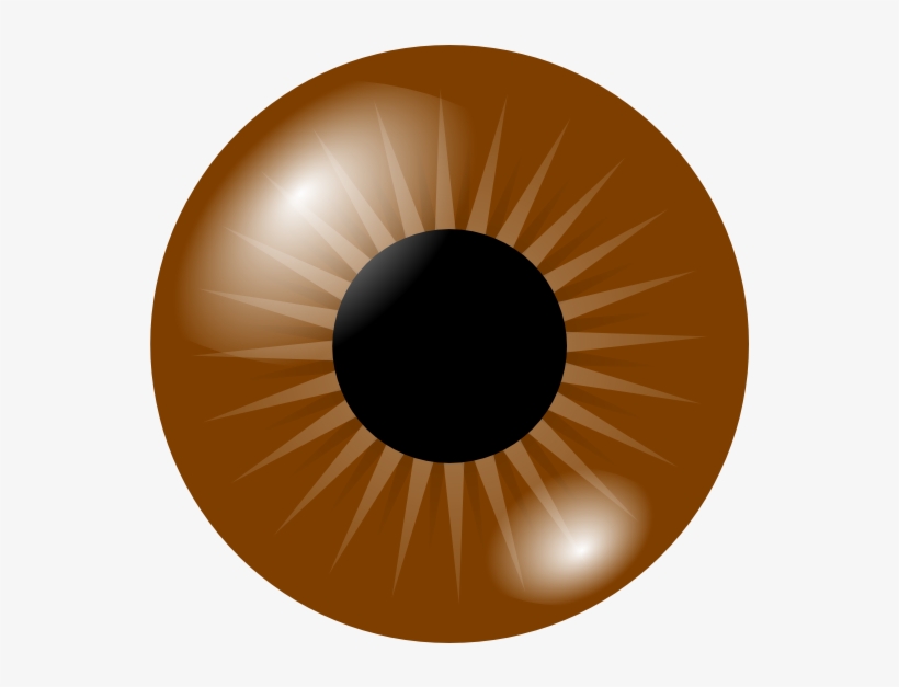 Brown Eye Clip Art At Clker - Brown Eye Clipart, transparent png #2877355