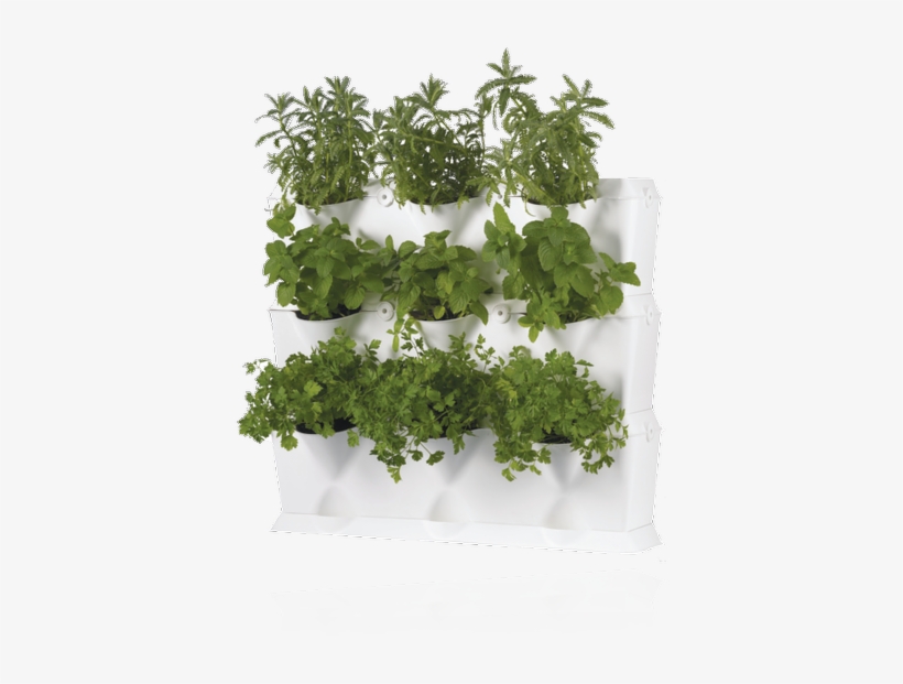 The Garden Wall In The Kitchen - Earthbox Minigarden Germination Station; White, transparent png #2877510