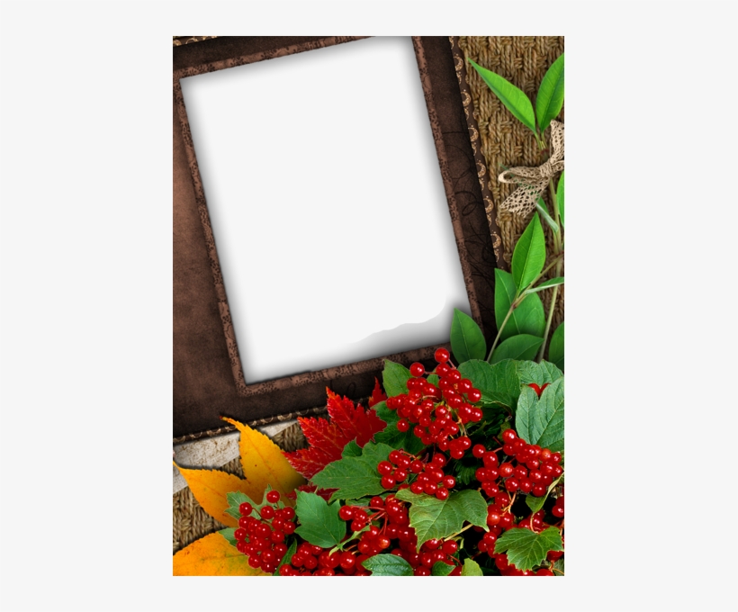 Nice Fall Png Photo Frame - Nice Photo Frame, transparent png #2878015