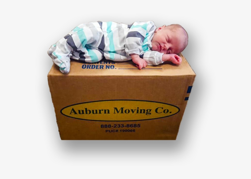 Baby Sleeping On Roseville Moving Company Box - Auburn Moving & Storage, transparent png #2878381