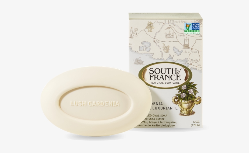 Lush Gardenia, transparent png #2878927