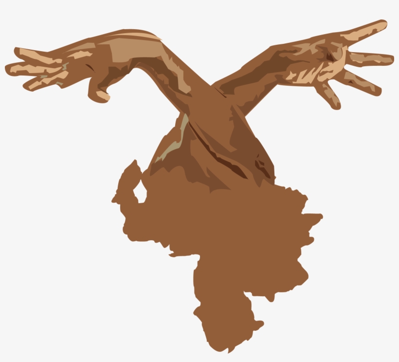 Logotipo Oficial Latin Flex Squad Vectorizado - Venezuela Map Vector, transparent png #2880042