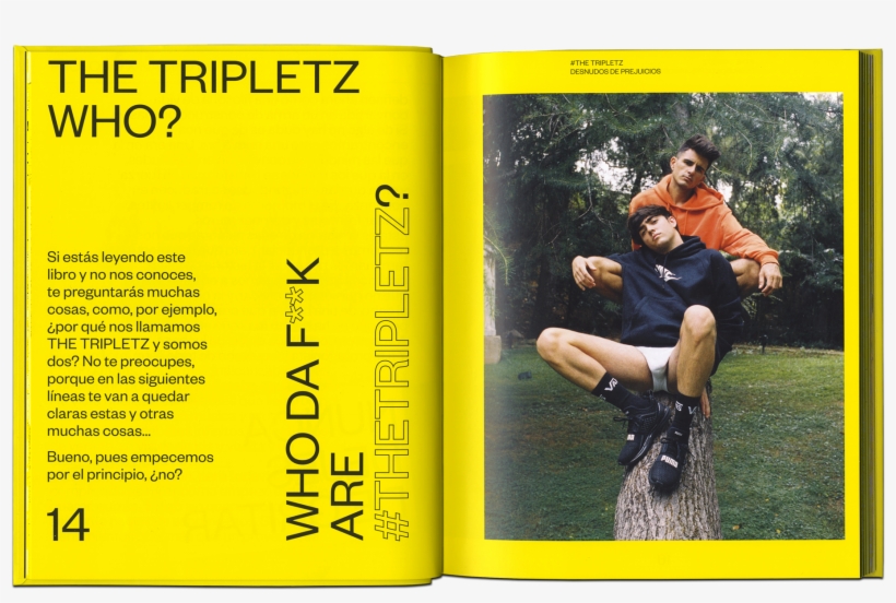 “desnudos De Prejuicios” It's A Book That Shows Off - Tripletz Desnudos De Prejuicios, transparent png #2880073