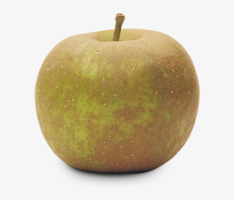 Golden Russet - Granny Smith, transparent png #2880285