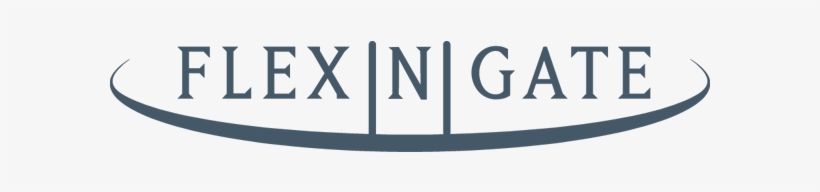 Flex N Gate 1 - Flex N Gate Logo, transparent png #2880990